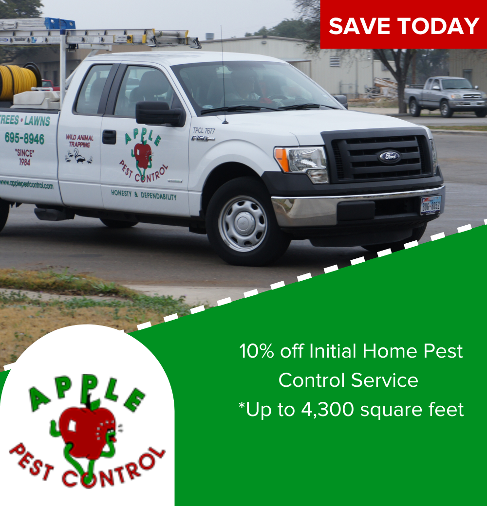 Pest Trappers  San Antonio TX